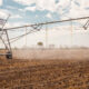 A vulnerabilidade do sistema alimentar e a alternativa agroecológica